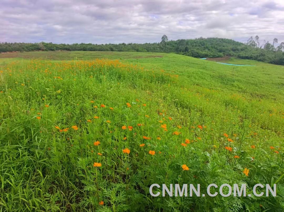 頭條-泰和縣某廢棄礦山生態(tài)修復后
