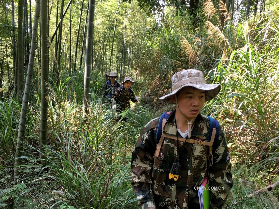 521141地質(zhì)填圖