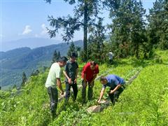 【鋁行者】扎根大水村的扶貧暖光——記西南鋁駐村第一書(shū)記青一威